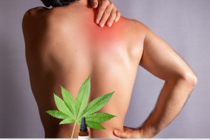 CBD Oil for Pain Management: A Comprehensive Guide