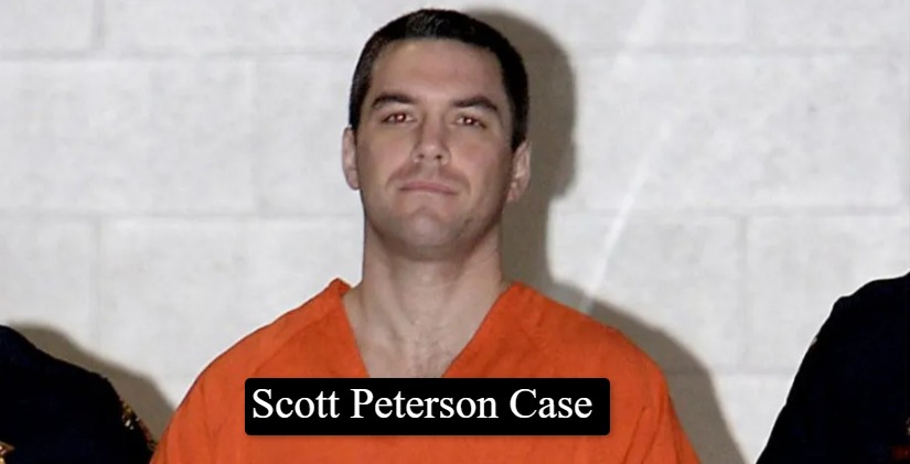 Scott Peterson Case Reddit Los Angeles Innocence Project Takes On Scott ...